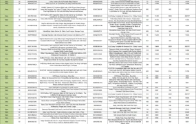 亚马逊美国站Primeday会员日各大类目前400名销售数据-6301行-1个子表