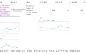 亚马逊轮滑鞋市场选品分析报告-49行-5个子表