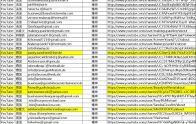 450个爆单红人联系邮箱与主页链接清单-456行-2个子表