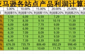 亚马逊各站点利润核算与Review评分计算工具表-19行-2个子表