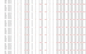 亚马逊广告与销售数据报表-222行-5个子表