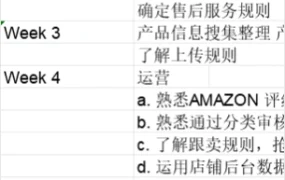 亚马逊网店运营规划指南-23行-1个子表