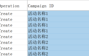 亚马逊广告精准投放模板-93行-5个子表