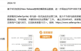 亚马逊美国站2024年9月TOP1000子类目选品指南-1005行-2个子表