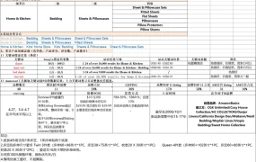 亚马逊选品数据分析透视表-5389行-14个子表