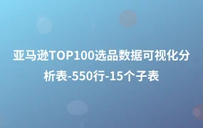亚马逊TOP100选品数据可视化分析表-550行-15个子表