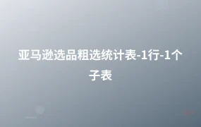 亚马逊选品粗选统计表-1行-1个子表