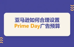 亚马逊PrimeDay广告预算设置详解-6页