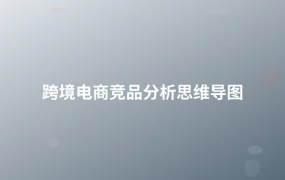 跨境电商竞品分析思维导图-1页