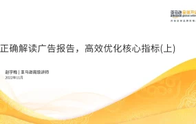 亚马逊广告报告解读与高效优化指南-59页