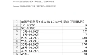 跨境电商运营团队架构与绩效管理指南-4页