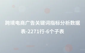 跨境电商广告关键词指标分析数据表-2271行-6个子表