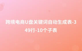 跨境电商U盘关键词自动生成表-349行-10个子表