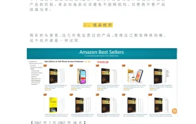 亚马逊卖家四年选品坎坷心得与避坑指南-5页