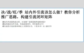 亚马逊LISTING流程化运营体系与站内外推广策略-30页