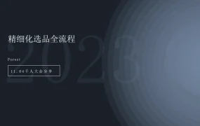 2023精细化选品全流程指南-35页