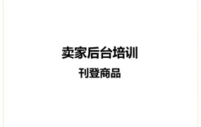 亚马逊卖家后台商品上传与批量操作指南-33页