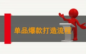 跨境电商爆款打造全流程指南-28页