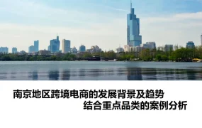 南京地区跨境电商发展背景及重点品类趋势分析-18页