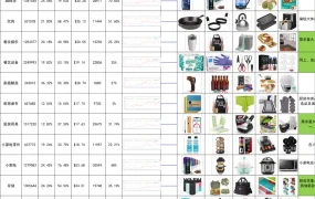 亚马逊厨房类目选品与运营策略分析-161行-9个子表