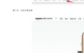 品牌备案后如何以售假为由投诉跟卖指南-5页