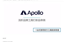 亚马逊品牌工具阿波罗打新策略指南-14页