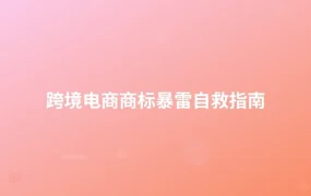 跨境电商商标暴雷自救指南-1页