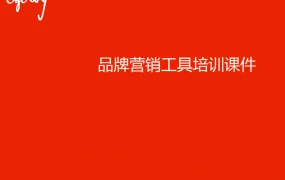 奥美品牌营销工具与跨境电商品牌建设指南-154页