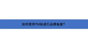如何使用TM标进行亚马逊品牌备案-15页