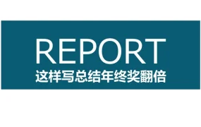 跨境电商年终总结撰写指南-12页