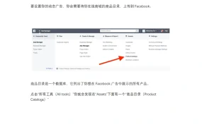 Facebook动态广告自动再定位指南：Shopify与Amazon店铺推广实战-10页