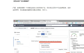 Facebook推广Shopify及Amazon店铺之定位新受众指南-6页