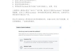 Facebook推广Shopify及Amazon店铺之重定向和自定义受众指南-5页