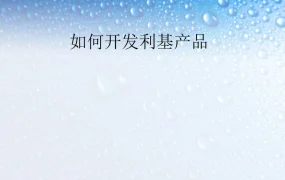 跨境电商利基产品开发全流程指南-22页