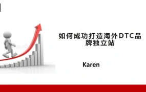 如何成功打造海外DTC品牌独立站-24页