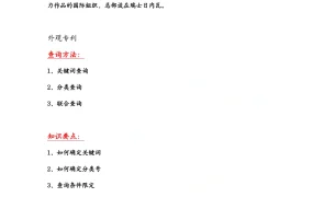 WIPO全球外观专利查询与品牌专利检索指南-12页