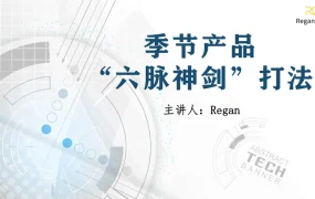 季节性产品六脉神剑打法全攻略-42页