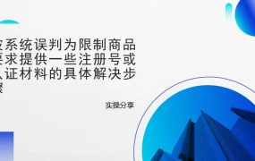 亚马逊误判限制商品申诉实操指南-4页