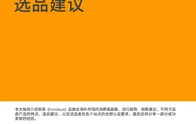 2025年家具品类跨境电商选品策略与市场分析-61页