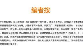 亚马逊封号潮下行业趋势与应对策略深度分析-47页