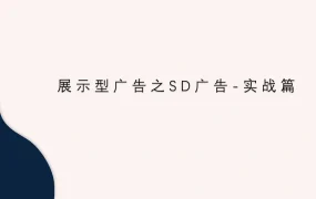 亚马逊展示型广告(SD)实战指南-24页