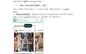 亚马逊Post免费流量获取操作指南-19页