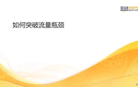 亚马逊广告优化与站外引流实战指南-142页