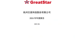 巨星科技2024年年度报告跨境电商行业洞察-197页