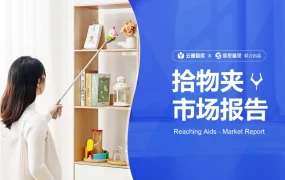 2024年亚马逊美国站拾物夹市场分析报告-53页