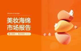 2024年美妆海绵市场分析报告-54页