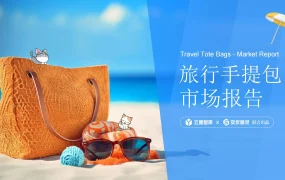 2025年旅行手提包市场分析报告-57页
