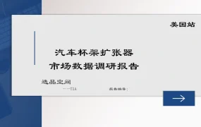 美国站汽车杯架扩张器市场数据调研报告-35页