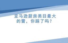 亚马逊厨房类目市场调研报告-空气炸锅羊皮纸产品风险与利润分析-43页