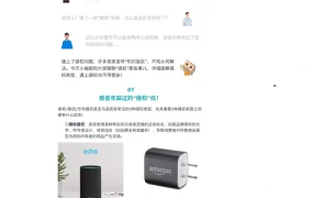跨境电商常见侵权类型及申诉指南-5页